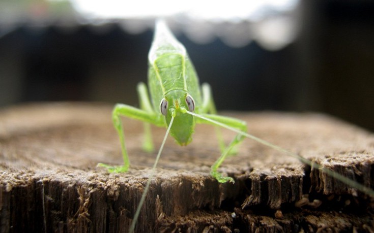 photographers2 photographers2