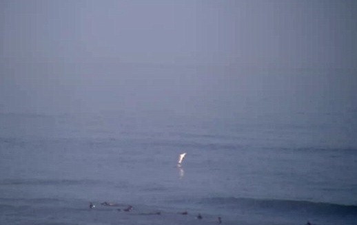Μικρός λευκός καρχαρίας πετιέται έξω από το νερό κοντά σε σέρφερ