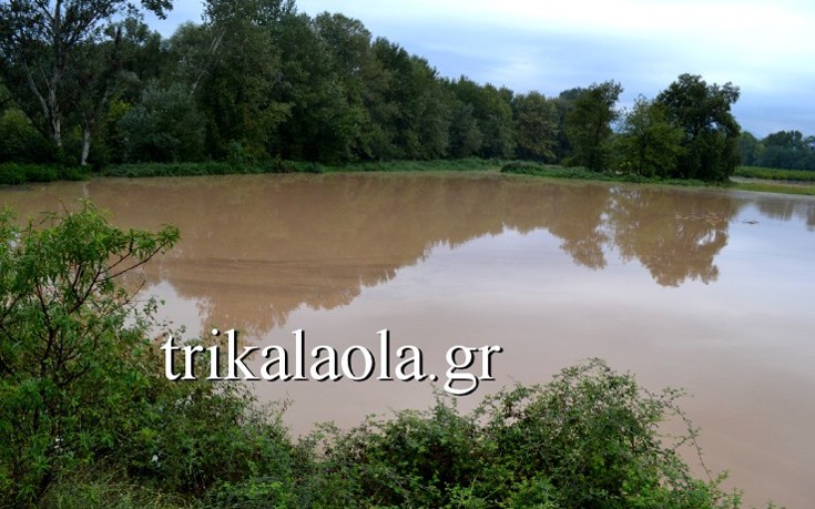 triklaspes4 triklaspes4