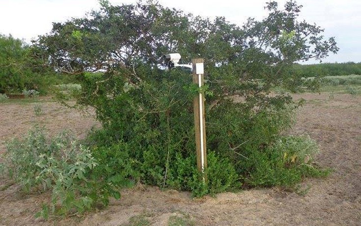 tubehouse12 tubehouse12