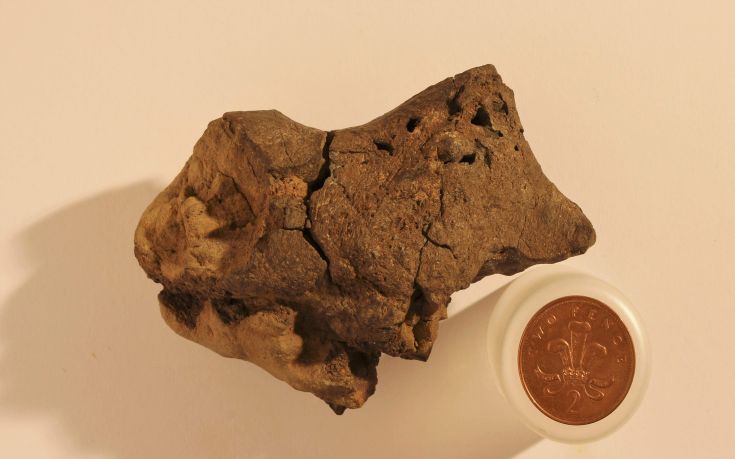 Απολιθωμένος εγκέφαλος δεινοσαύρου ανακαλύφθηκε στη νότια Αγγλία