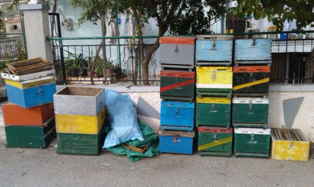 Πήγε να φροντίσει μελίσσια και βρέθηκε με χειροπέδες