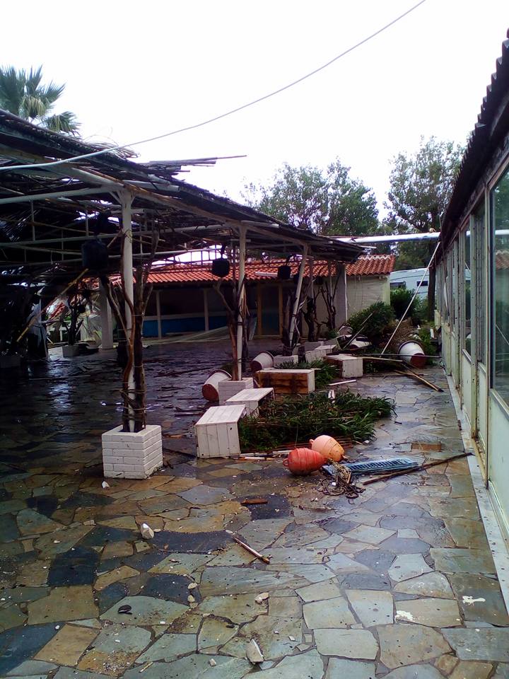 14671151_221877824897331_9020796317078264788_n 14671151_221877824897331_9020796317078264788_n