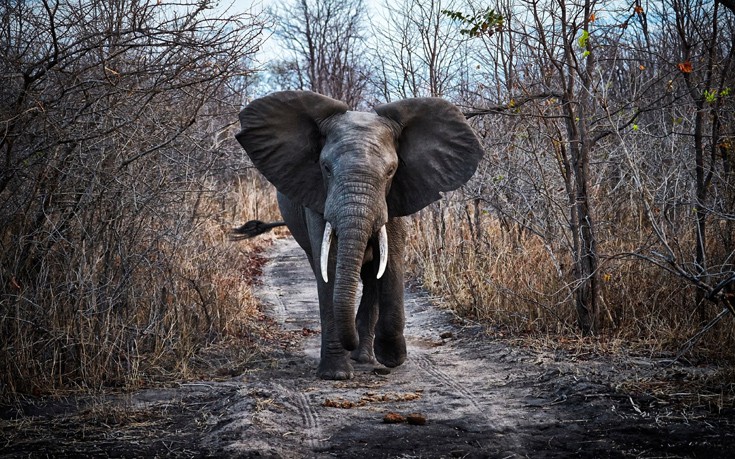 Fantastic12 Fantastic12