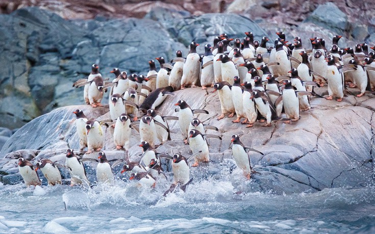 Fantastic8 Fantastic8