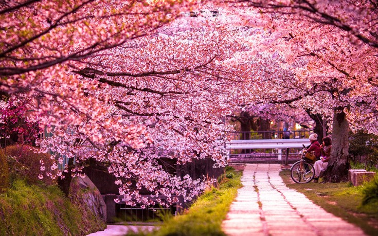 Fantastic9 Fantastic9