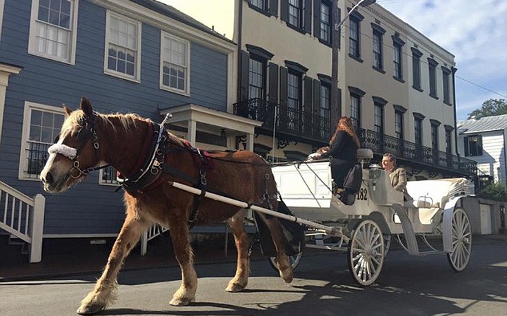 KASDJHSAF7 KASDJHSAF7