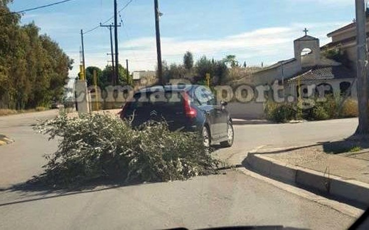 Πώς να μεταφέρεις κλαδιά αν δεν έχεις αγροτικό