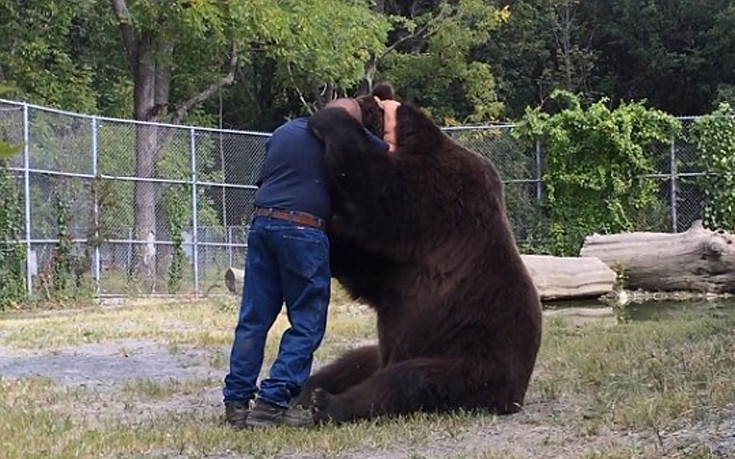 bear1 bear1