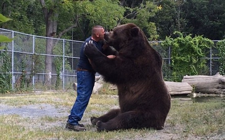 Η απίθανη αγκαλιά της αρκούδας