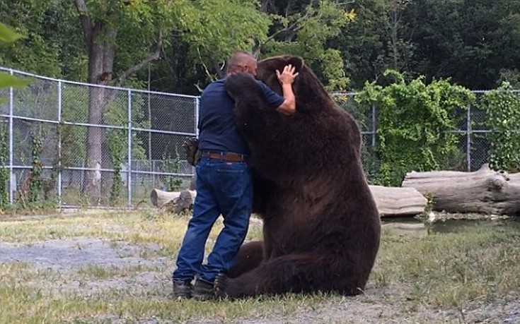 bear3 bear3
