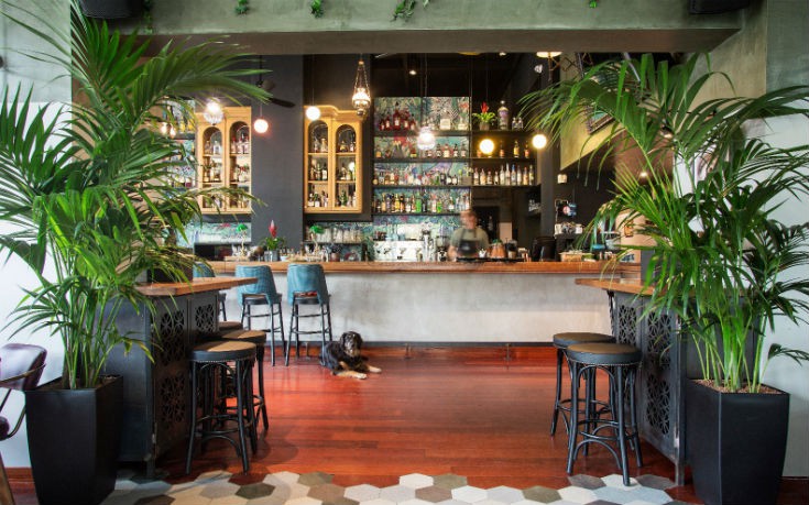 big spoon_edited big spoon_edited