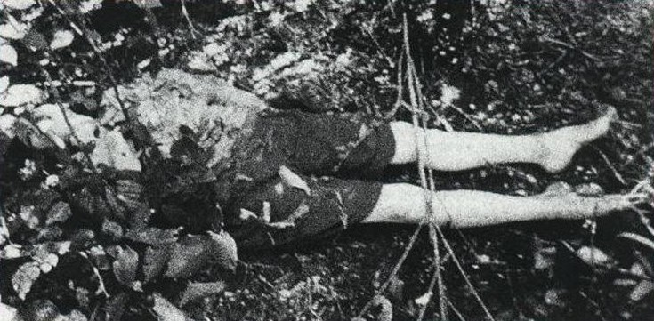 chiiarallksollskgsrg18 chiiarallksollskgsrg18