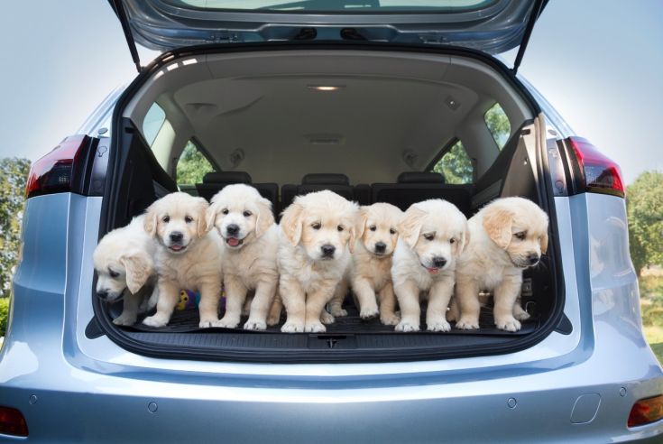 cq5dam.web.1280.1280 cq5dam.web.1280.1280