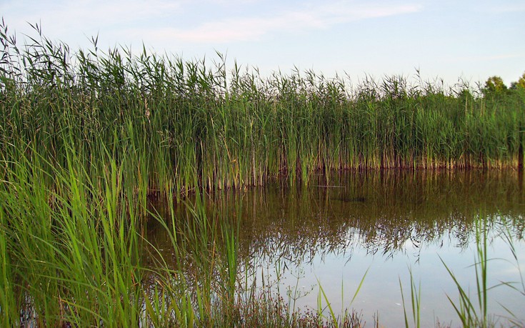 ddaofnnfnnaaoffoodeeww1