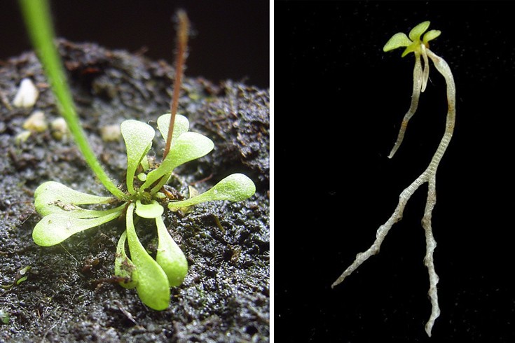 ddaofnnfnnaaoffoodeeww2