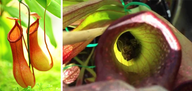 ddaofnnfnnaaoffoodeeww5