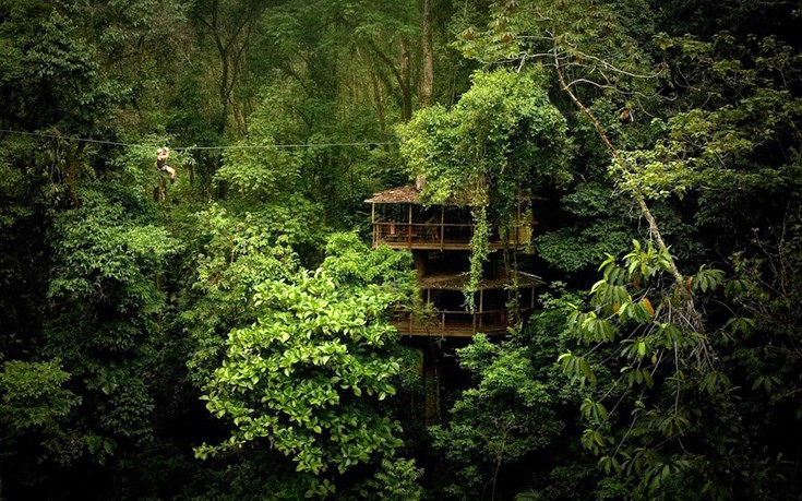 dentrospita1 dentrospita1