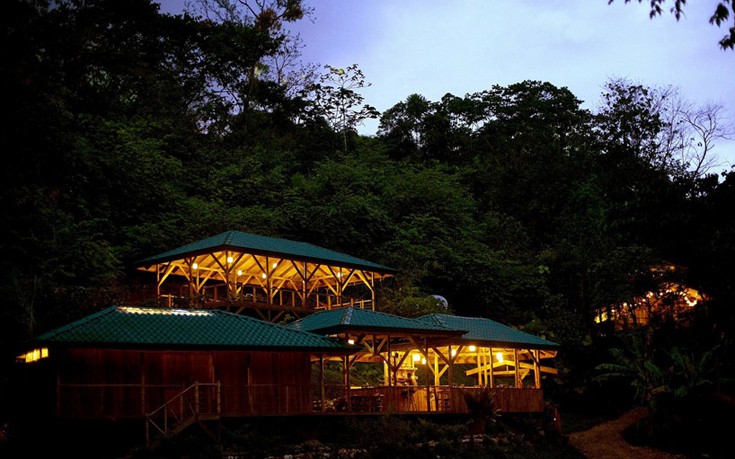 dentrospita8 dentrospita8