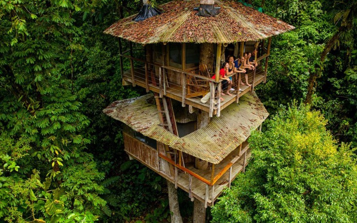 dentrospita9 dentrospita9