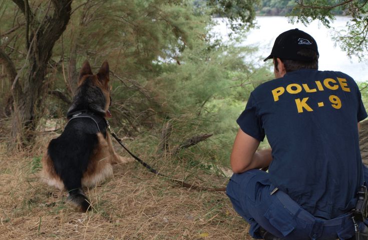 Κακοποίηση και θανάτωση ζώων στην Ελλάδα του 2016