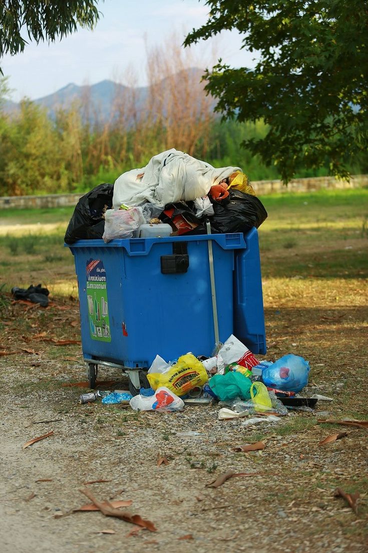 epi-skoupidia-abaria-dasyllio3 epi-skoupidia-abaria-dasyllio3