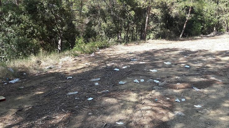 epi-skoupidia-abaria-dasyllio4 epi-skoupidia-abaria-dasyllio4