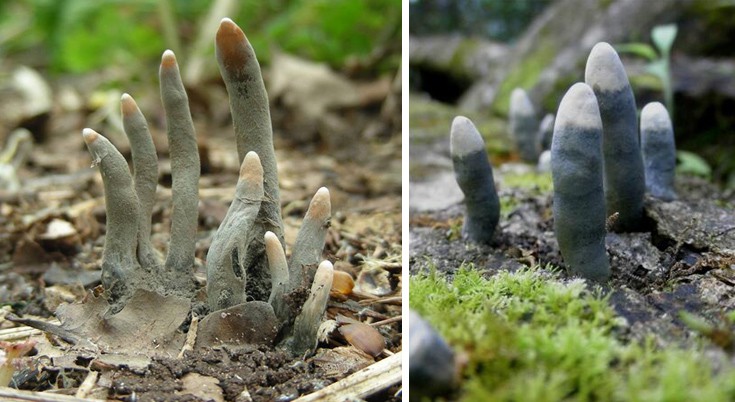 fiuunnfiiggii1 fiuunnfiiggii1