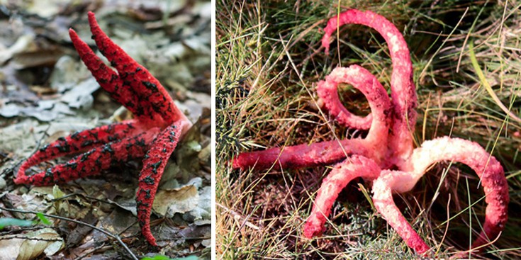 fiuunnfiiggii3 fiuunnfiiggii3