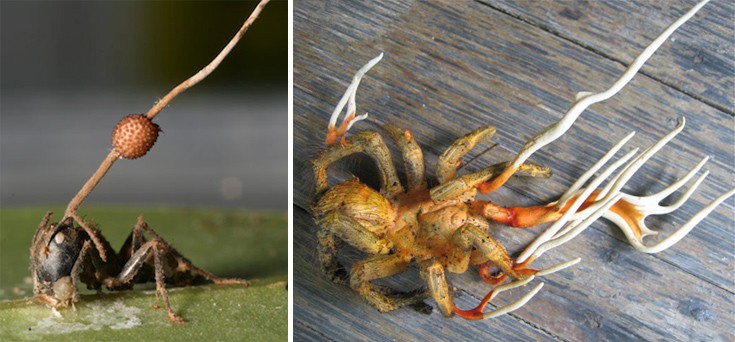 fiuunnfiiggii4 fiuunnfiiggii4