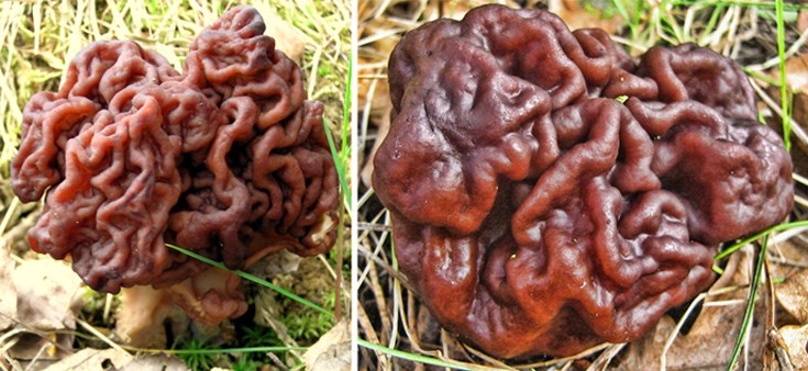 fiuunnfiiggii5 fiuunnfiiggii5