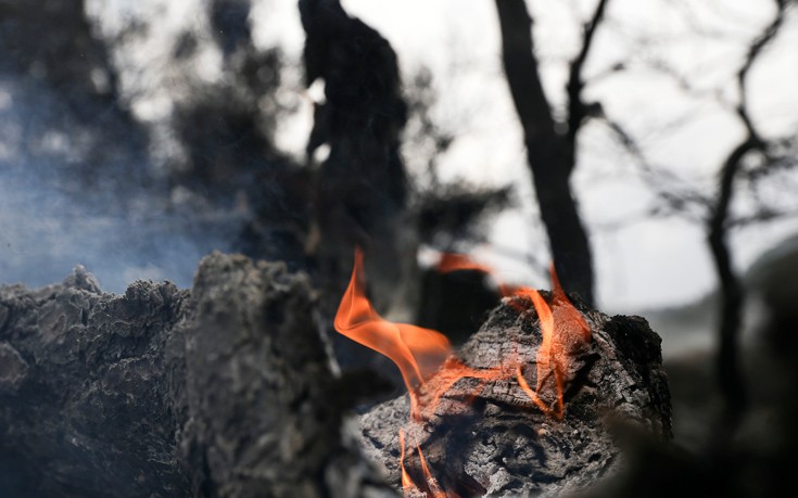 Σε ύφεση η φωτιά στο Βροντερό Φλώρινας