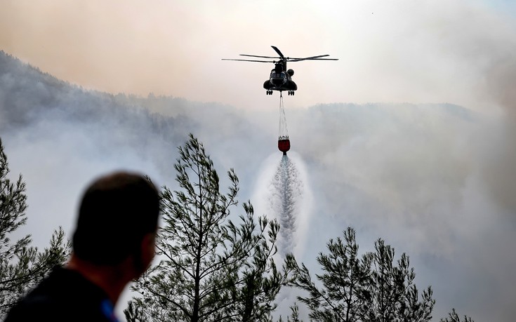 Αυτόφωρη διαδικασία για εγκλήματα κατά του περιβάλλοντος ζητά ο Άρειος Πάγος