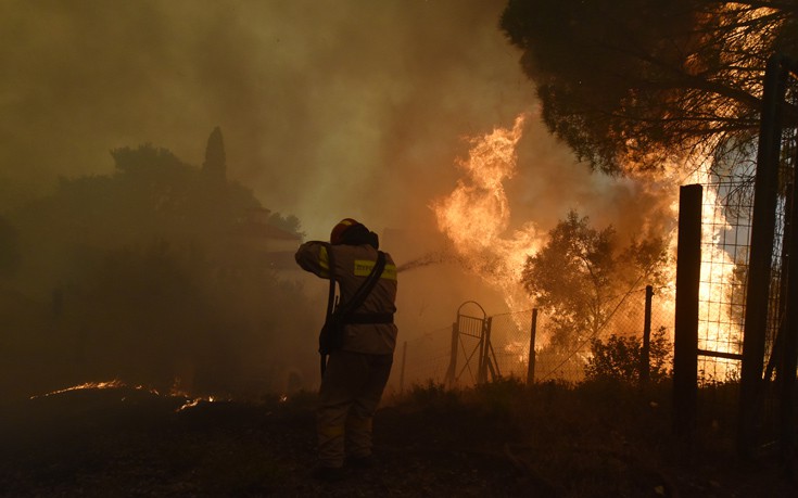 Πυρκαγιά σε δασική περιοχή στη νότια Ρόδο