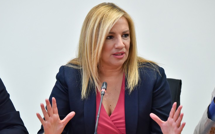 Το νέο αναπτυξιακό σχέδιο της Δημοκρατικής Συμπαράταξης παρουσίασε η Γεννηματά