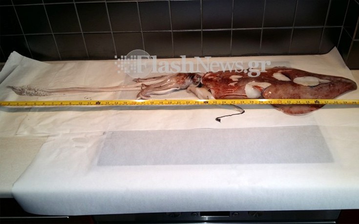 kalamaraki2 kalamaraki2