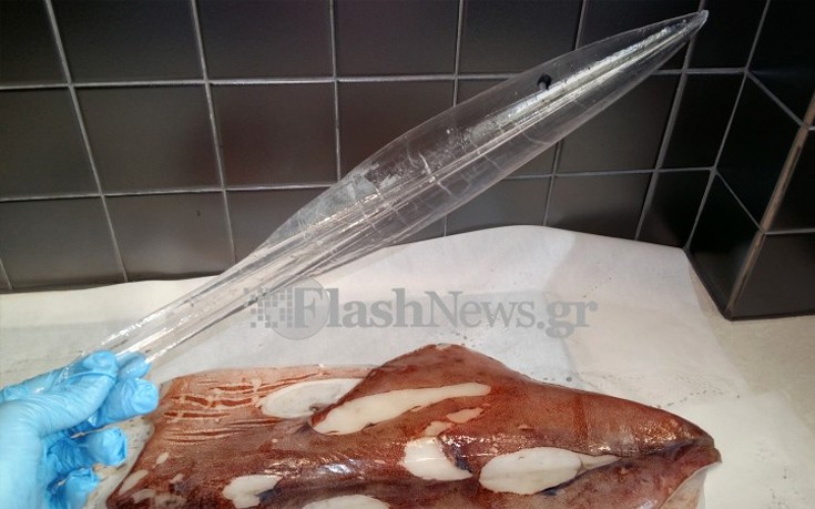 kalamaraki5 kalamaraki5