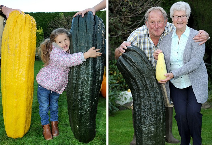 kolokuthes2 kolokuthes2