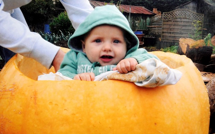 kolokuthes4 kolokuthes4