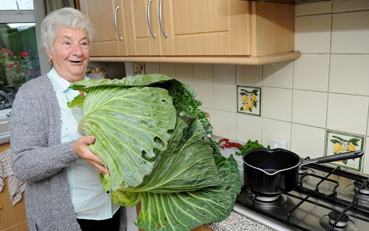 kolokuthes6 kolokuthes6