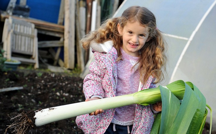 kolokuthes7 kolokuthes7