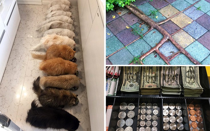 Φωτογραφίες που θα ικανοποιήσουν και τον πιο τελειομανή