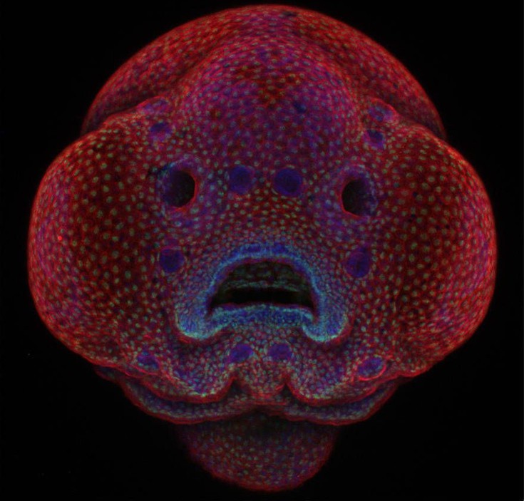 photographywinner1 photographywinner1