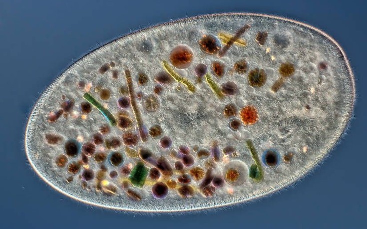 photographywinner10 photographywinner10