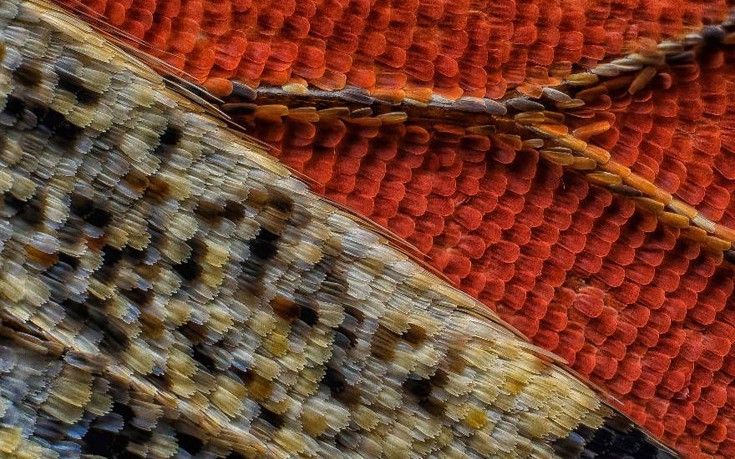 photographywinner11 photographywinner11