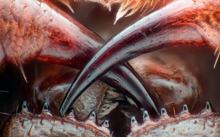 photographywinner13 photographywinner13