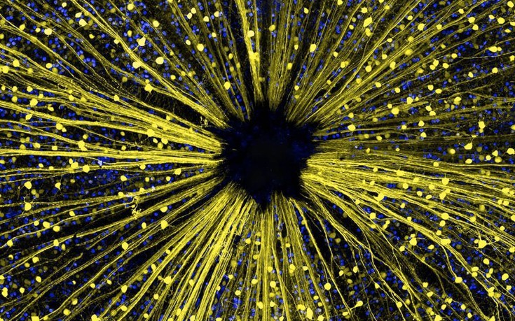 photographywinner14 photographywinner14