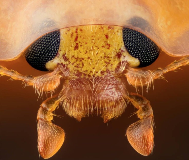 photographywinner15 photographywinner15