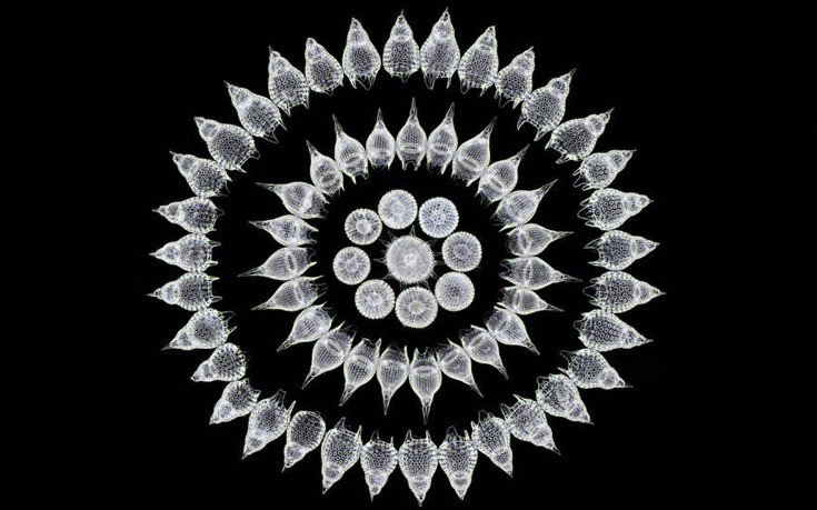 photographywinner16 photographywinner16