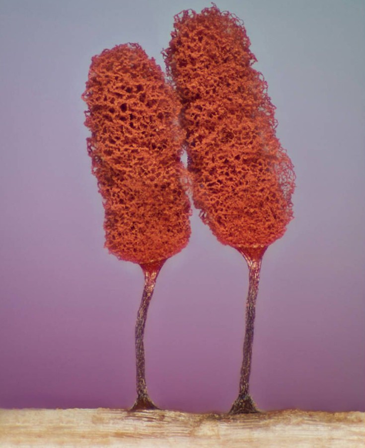 photographywinner17 photographywinner17